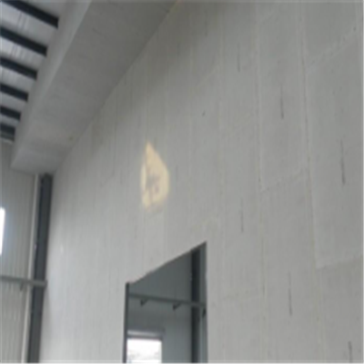 彭山新型建筑材料掺多种工业废渣的ALC|ACC|FPS模块板材轻质隔墙板